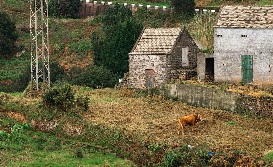 Rural Development
